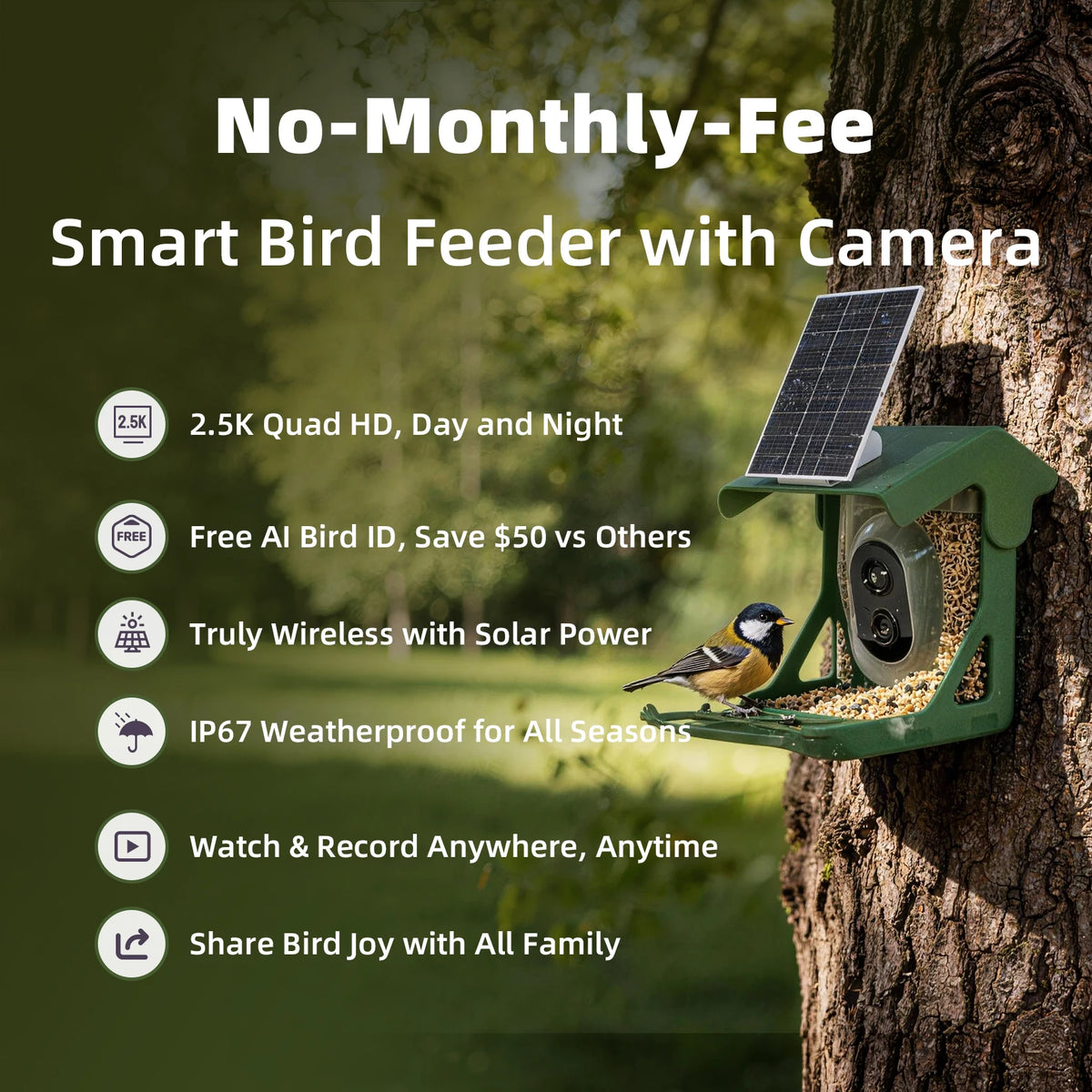 CINMOORE Solar Bird Feeder Camera With AI Species Recognition