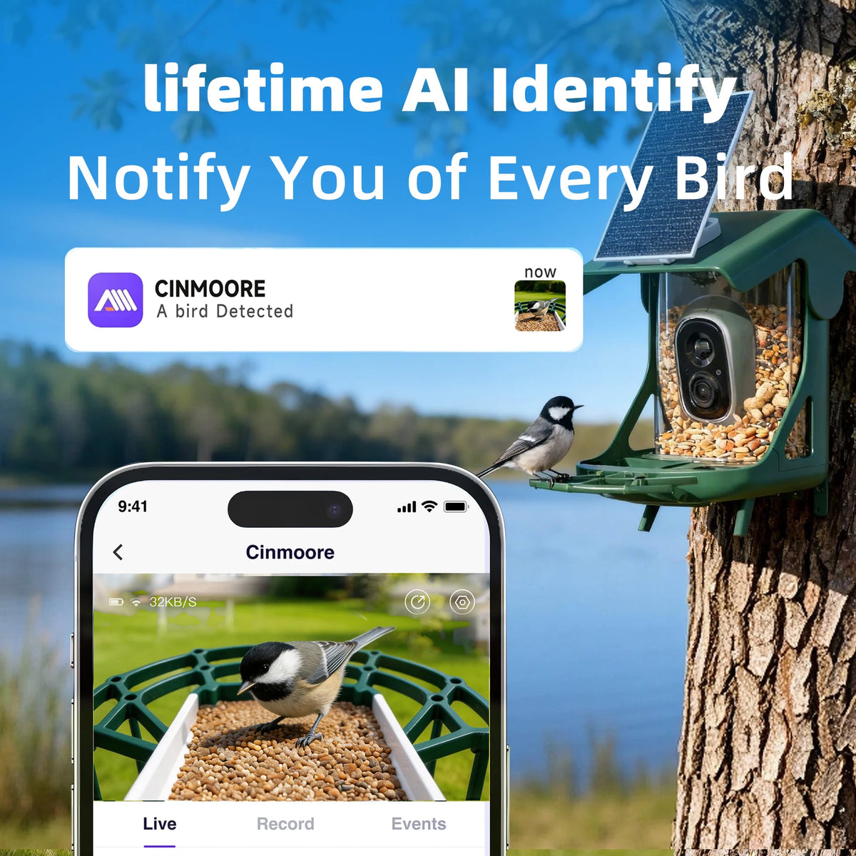 CINMOORE Solar Bird Feeder Camera With AI Species Recognition