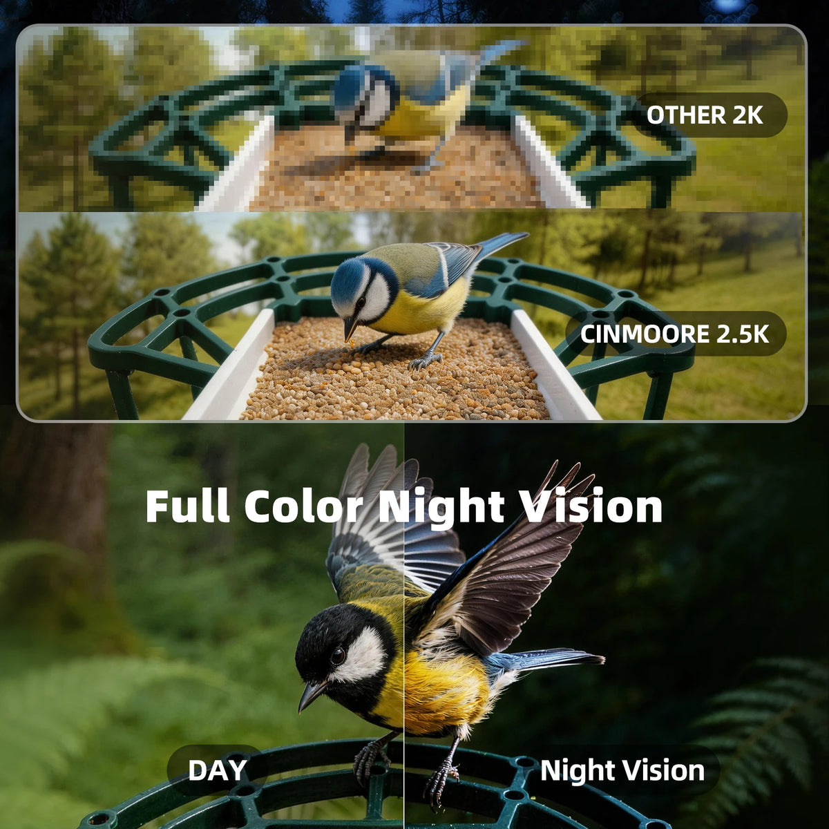 CINMOORE Solar Bird Feeder Camera With AI Species Recognition